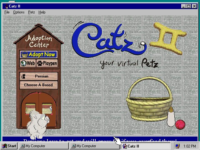 Catz II - Start